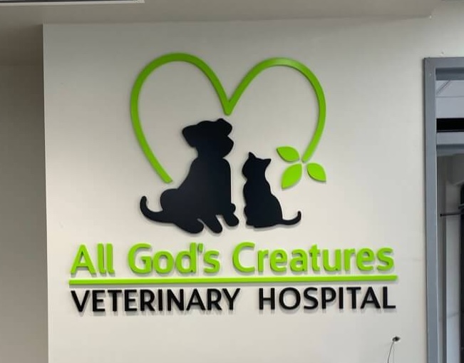 Heartland vet partners