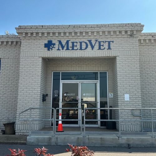 MedVet