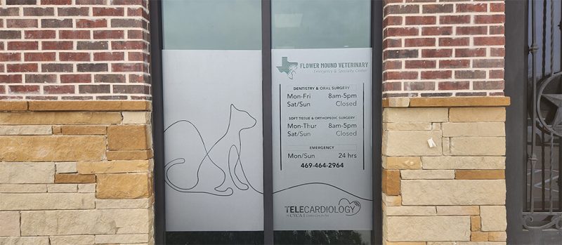 Southern Vet Partners