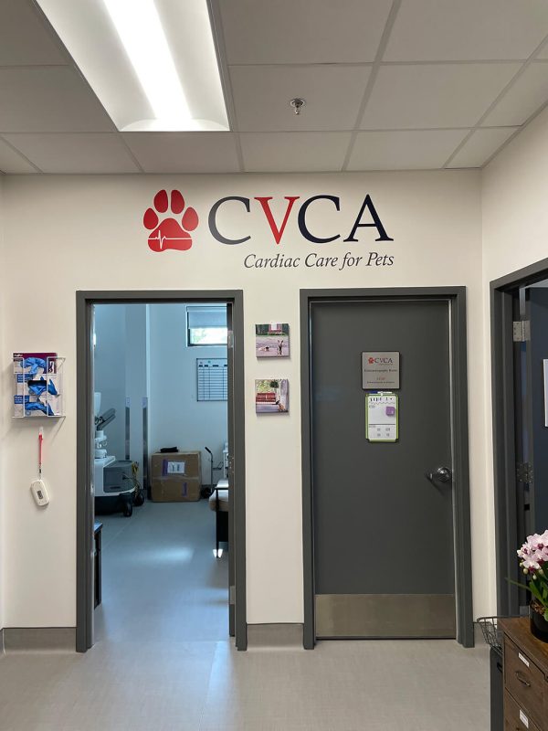 Southern Vet Partners