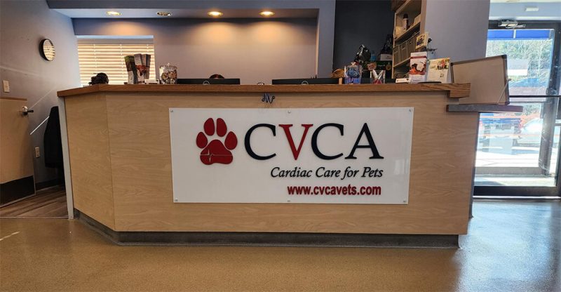 Southern Vet Partners
