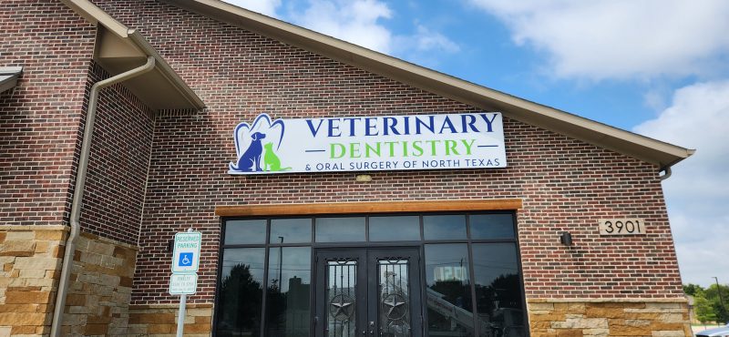 Southern Vet Partners