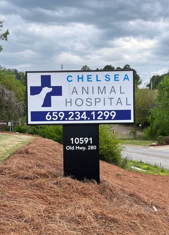 Southern Vet Partners