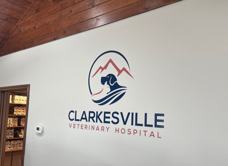 Southern Vet Partners
